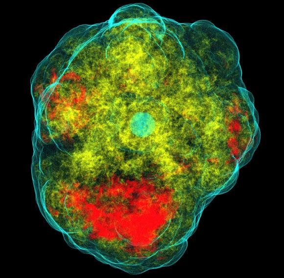 科学家终于弄清II型超新星“真面目”